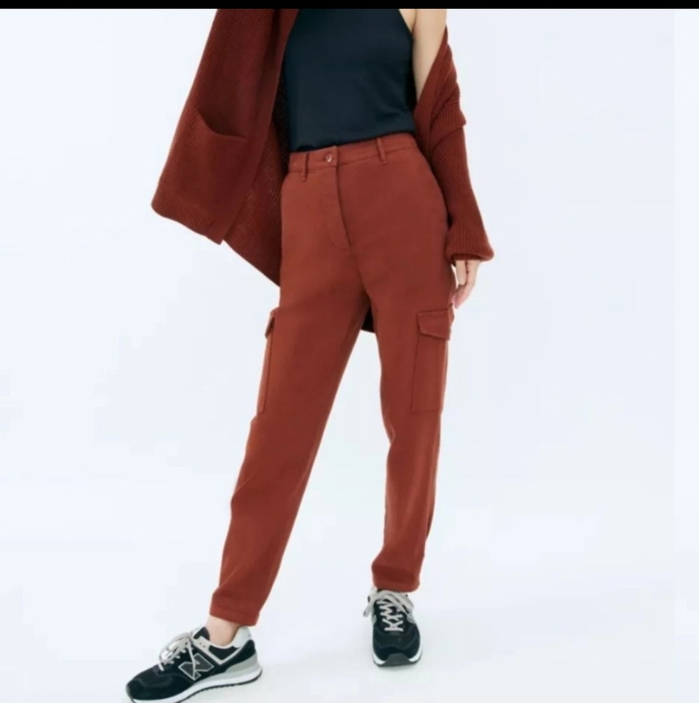 Wilfred Free Aritzia Arizona Modern Cargo Pants Size 12 High Rise Rust Utility